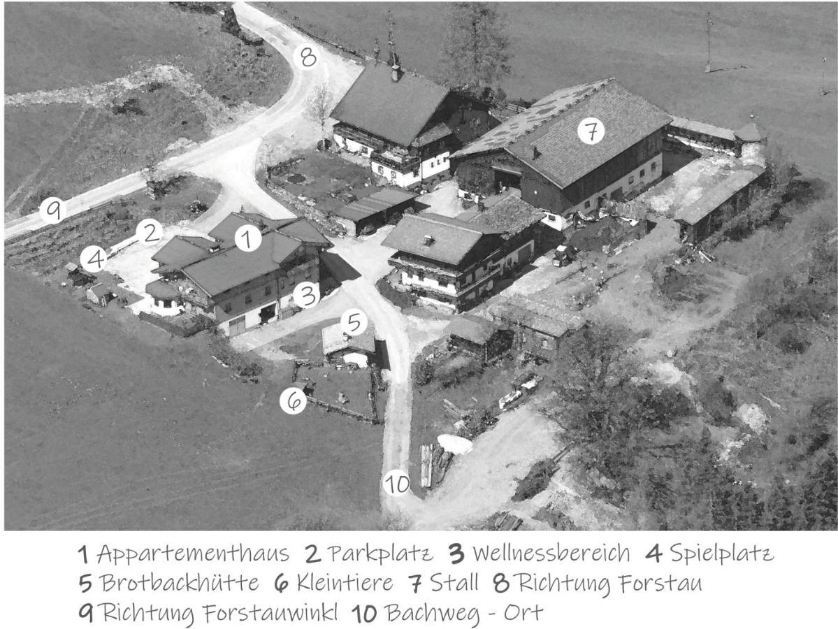 Oeko-Appartements Fallhaus Forstau  Exterior photo